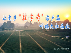 读刊｜让更多“桂字号”农产品叫响大江南北